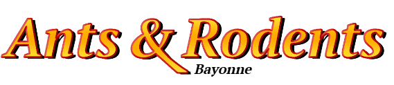 Bayonne Ant Exterminator & Rodent Control Company Logo